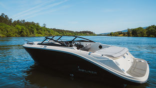 Bayliner C21i