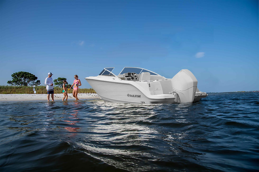 2023 Sailfish 226 DC