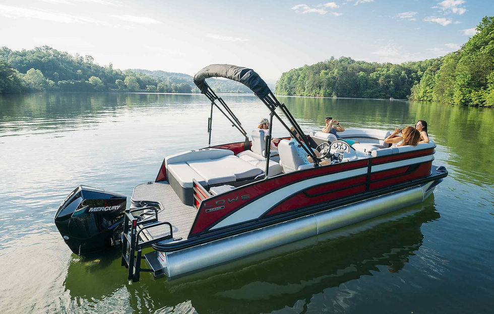 Lowe Boats SS 230 DL