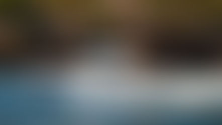 Mercury Marine Axopar Saxdor