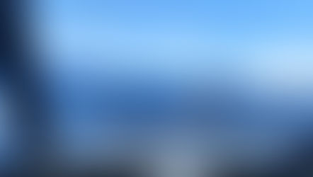 "Hell of a Fright" - Shark Stuns Crew by Jumping Aboard Boat in New Zealand