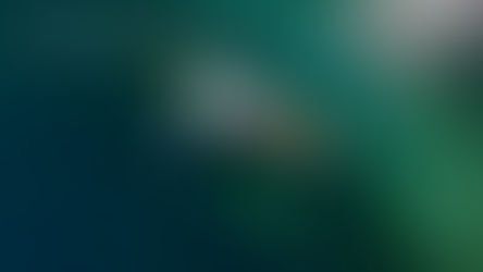 shipwrecks Georgian Bay