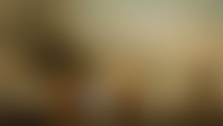 Legal Battle Continues for ‘Holy Grail of Shipwrecks’ with Billions in Treasure Onboard