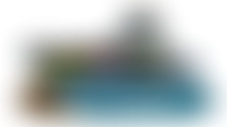 'Deep Thought' is Cut Up and Her Story Ends... with a Certificate of Authenticity