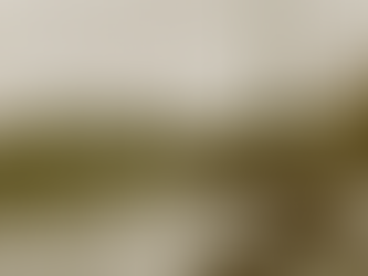 fastest boats in the world