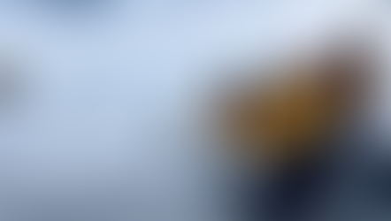 When Boating & Nature Overlap - Penguin Hops Onboard to Avoid Orcas