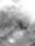 124193011_649238085956074_7991260943091087827_n (1).jpg
