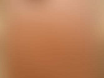 The Best Brownies Ever