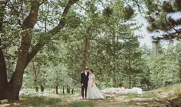 Copy of Wedding Portraits.jpg