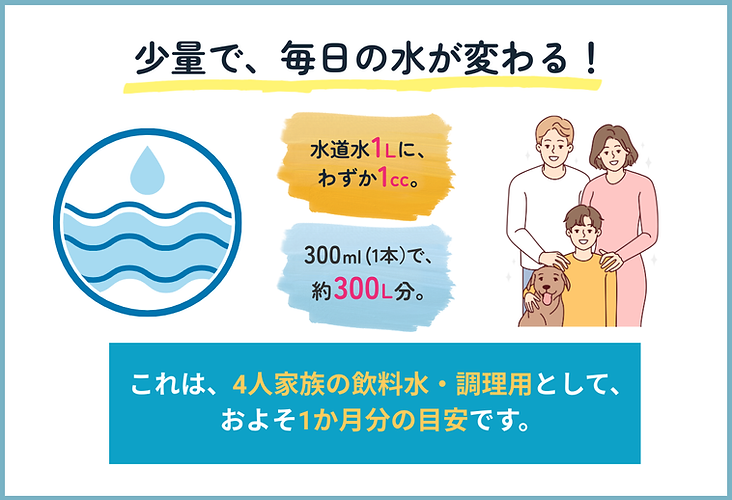 MINERA 21・図解1 (4).png