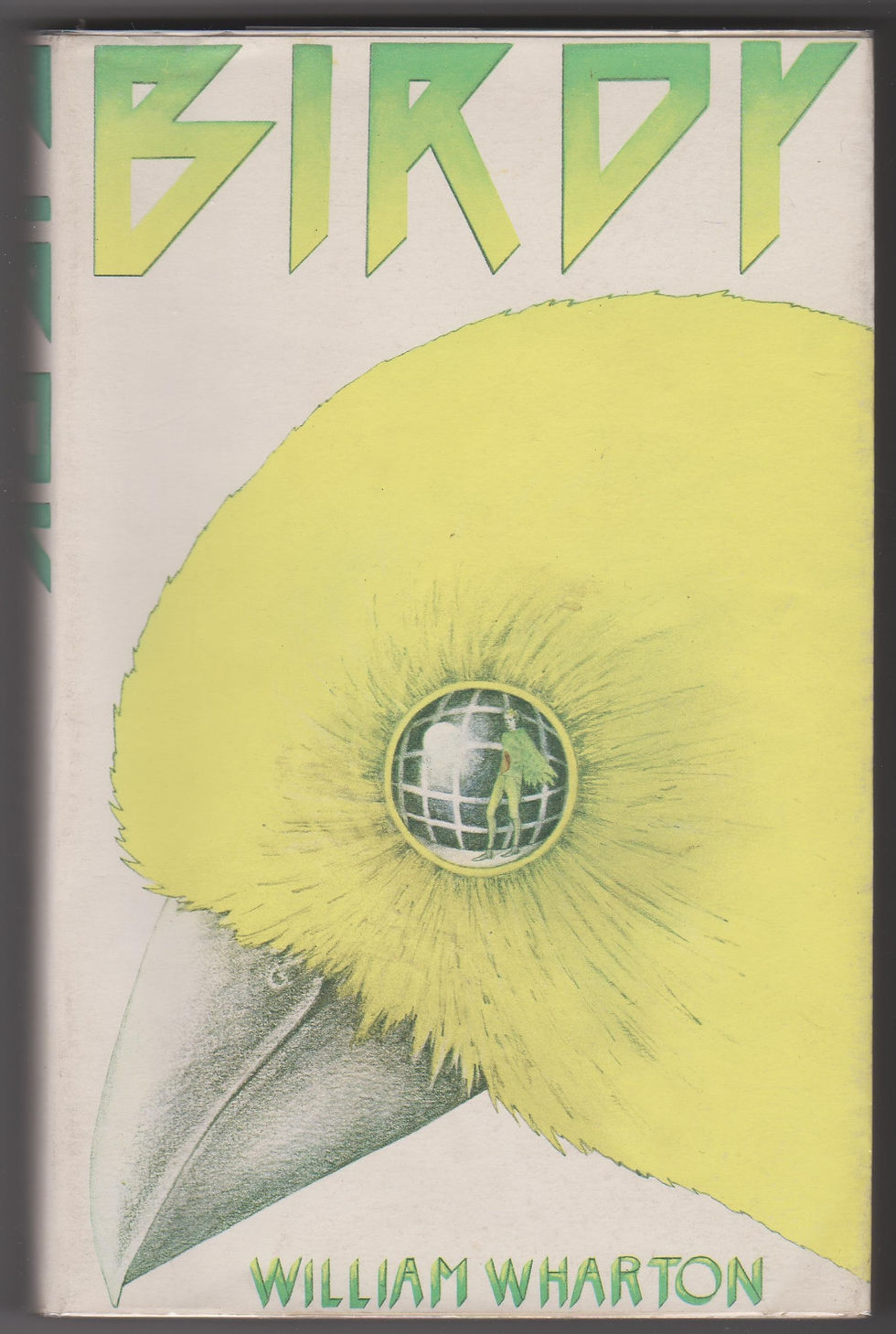 Birdy by William Wharton front cover from shop books