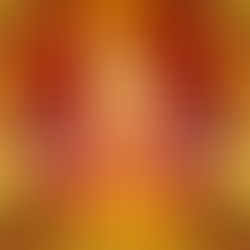 Pentecost 2024
