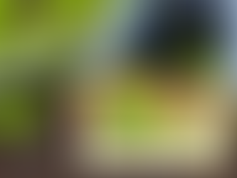 Produtos orgânicos trazem benefícios para o solo e para sua saúde