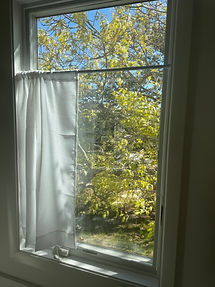 IMG_2517.jpeg