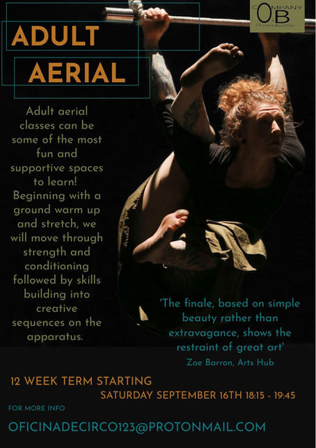 Fall Term ADULT AERIAL is opening, Saturdays 18:15 - 19:45!