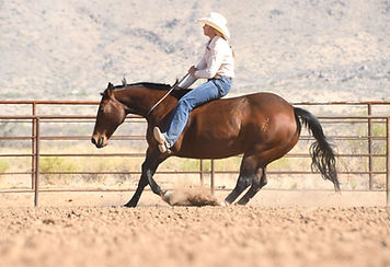 _Bareback Stop 2_edited.jpg