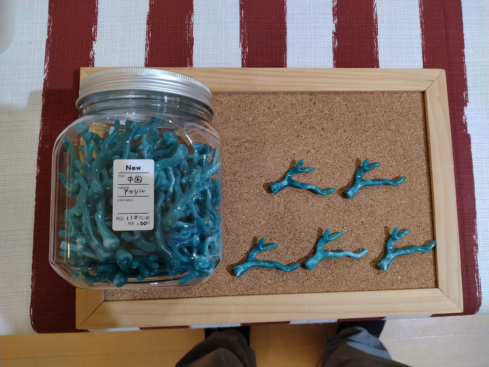 サンゴのビーズ