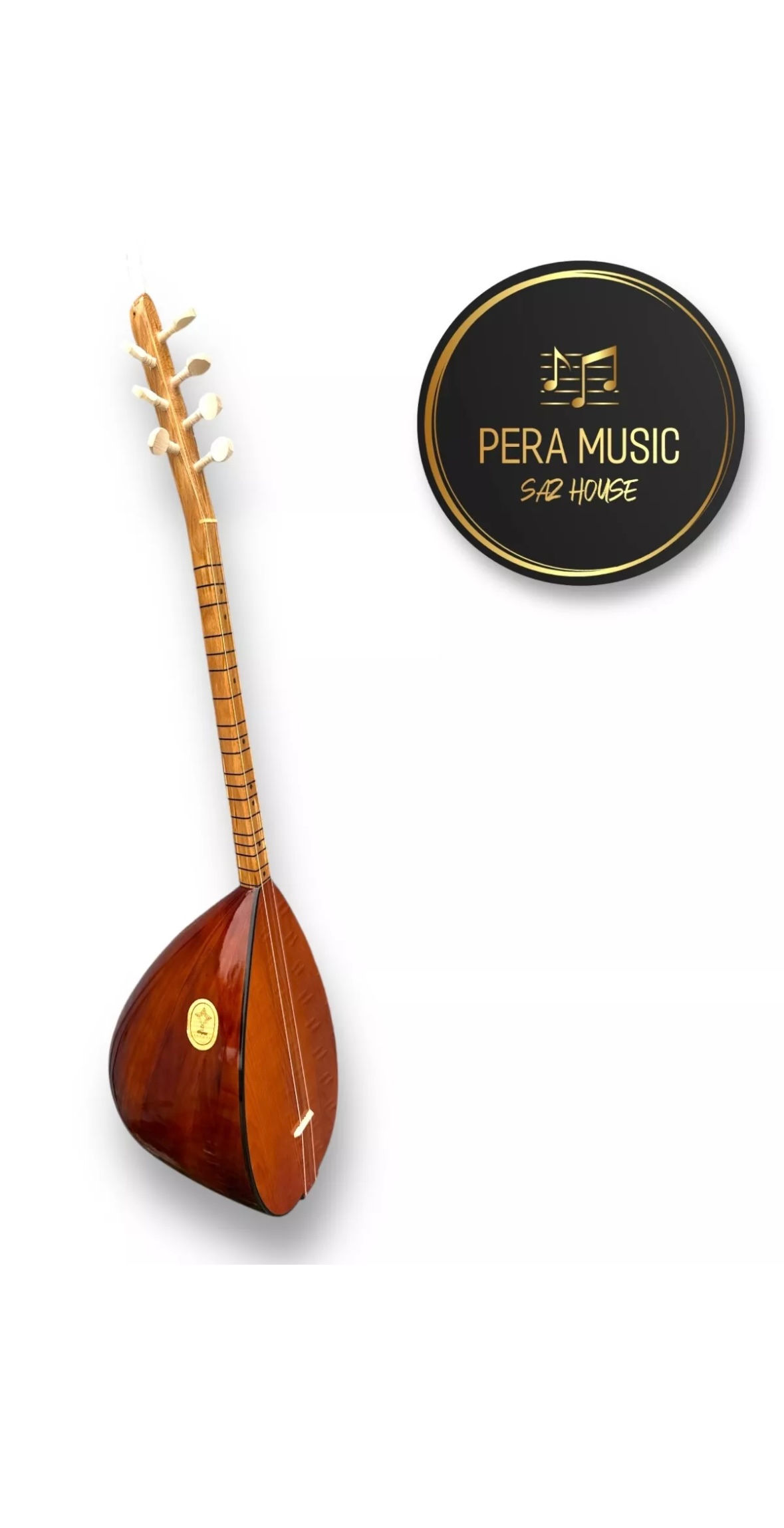 Baglama à col court avec micro et accessoires