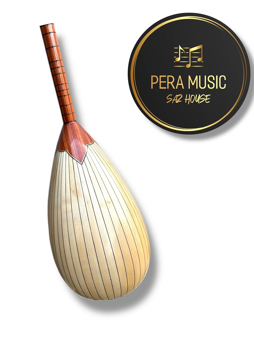 Thumbnail: Electric Baglama with effects and professional soft case Diyar Saz Evi