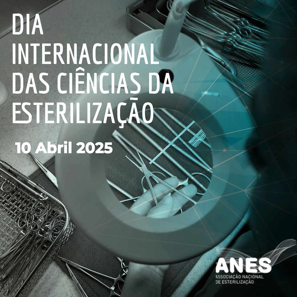 Newsletter n.º 1