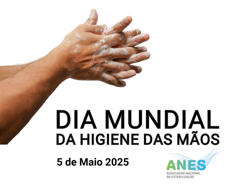 Newsletter n.º 2