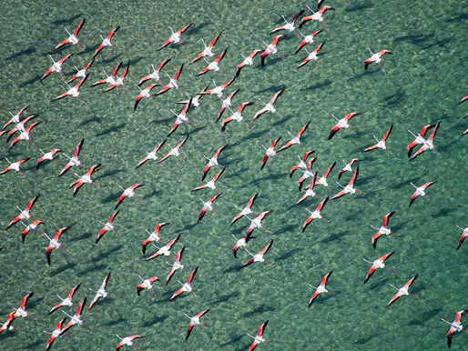 AFRICA GEOGRAPHIC - Mozambique's Turquoise Coast