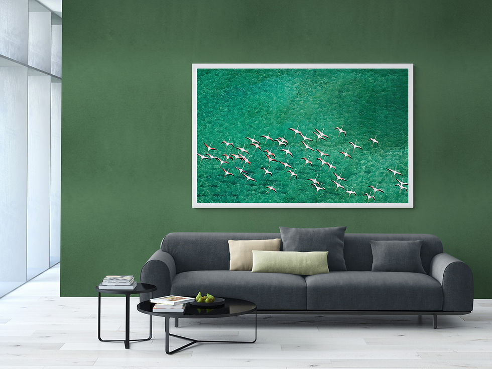 Miniaturbild: Dreamtime