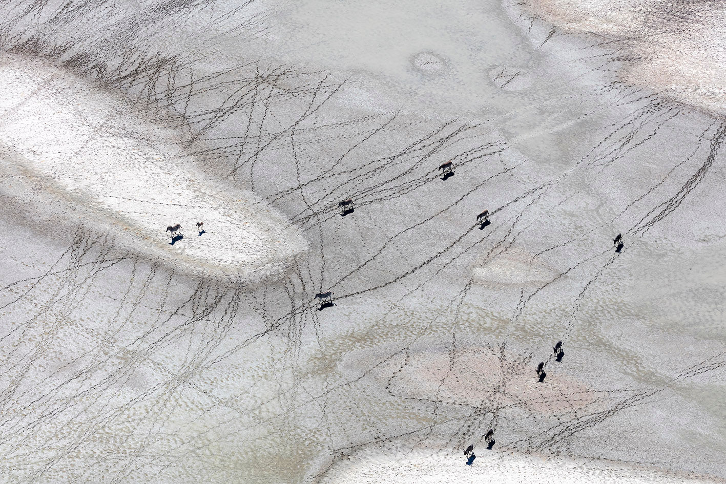 Crossing the Makgadigadi