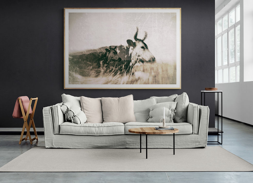 Miniaturbild: Iphupho