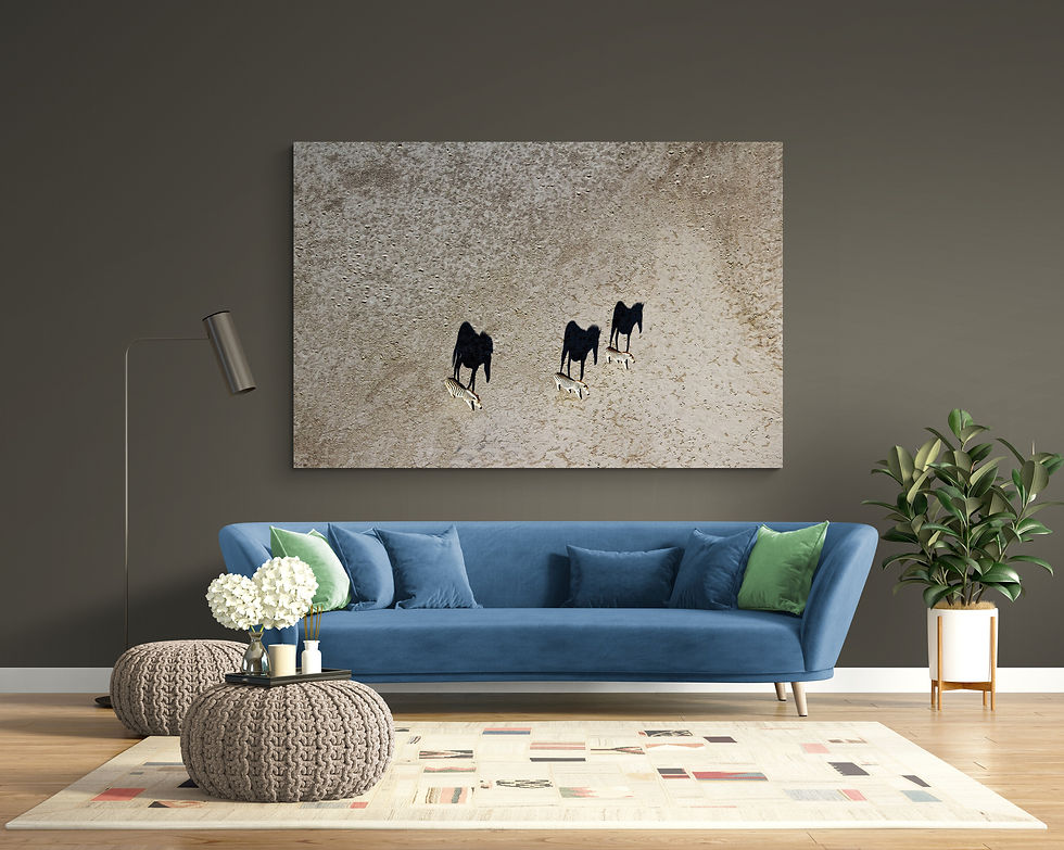 Miniaturbild: The Trio II