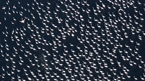 SIENA PHOTO AWARDS 2021