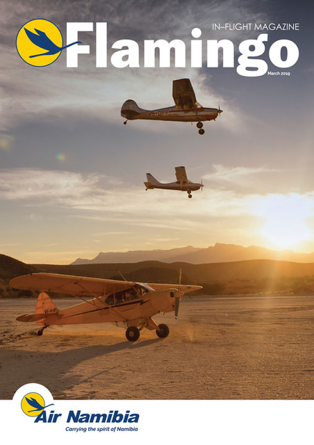 [Flamingo March 2019] Cover.jpg