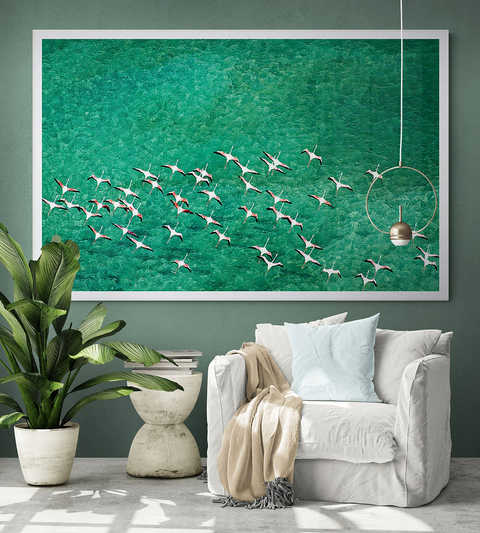 Miniaturbild: Dreamtime