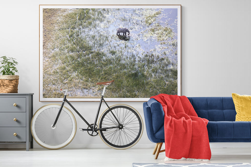 Thumbnail: Last Light