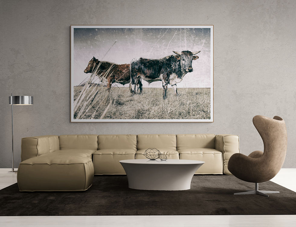 Miniaturbild: Iphupho II