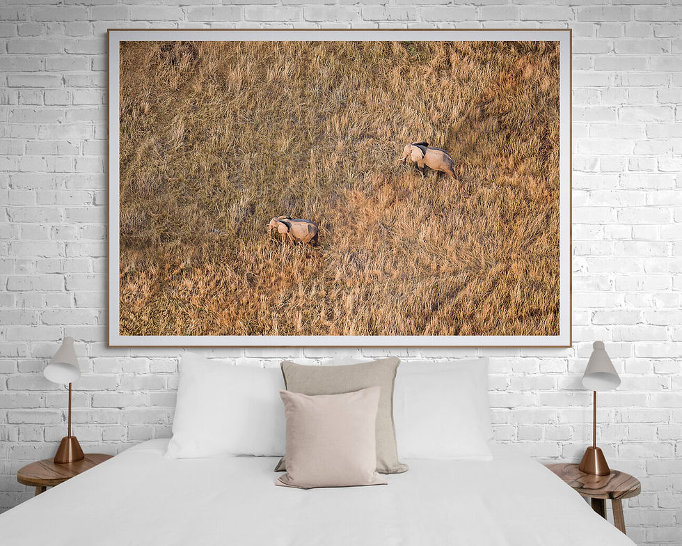 Thumbnail: Golden Dawn II