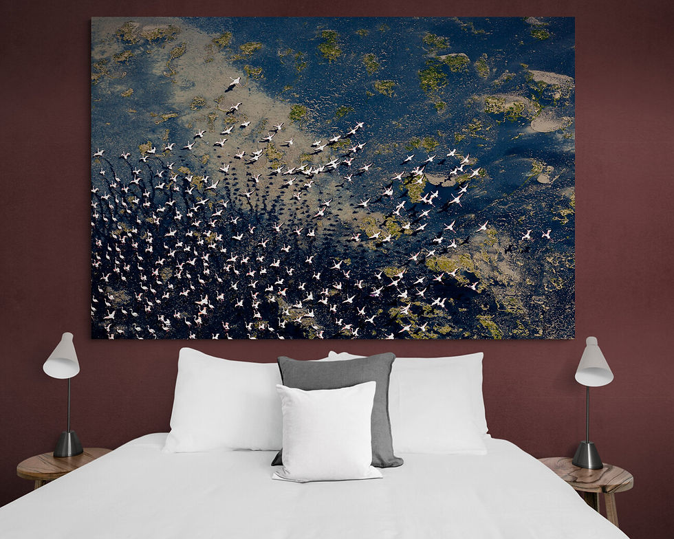 Miniaturbild: Wings over Water