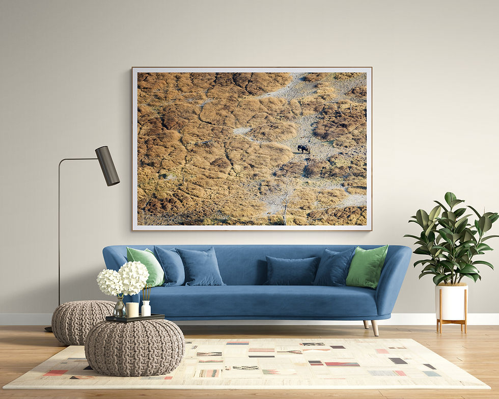 Miniaturbild: October in Seronga