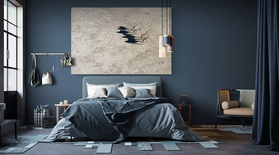 Miniaturbild: Makgadigadi Nomads II