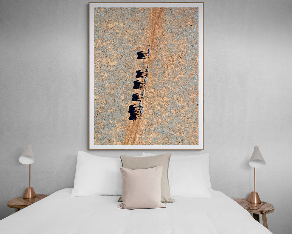 Miniaturbild: Companions