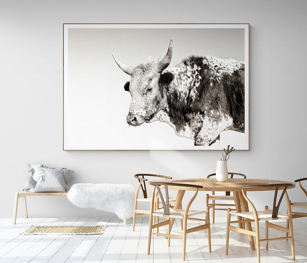 Miniaturbild: Umuhle