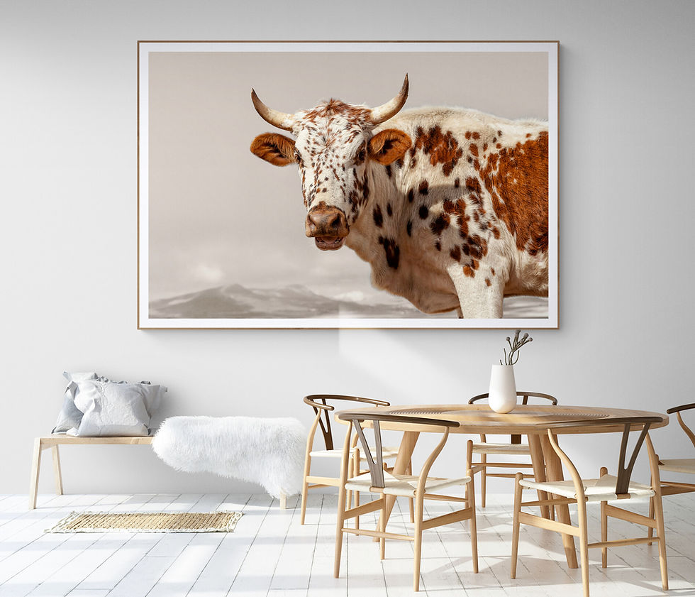 Miniaturbild: Inkomazi II