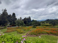 WhatsApp Image 2022-12-15 at 08.14.01.jpeg