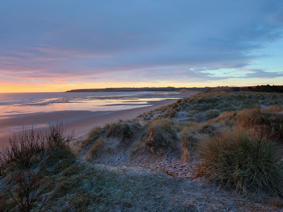 Image of Lunan Bay in Scotland