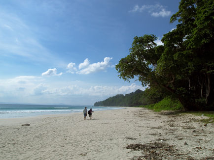 10 Best Beaches to Visit in India for a Perfect Coastal Escape
