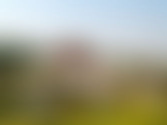 10 Best Places to Visit in Thailand in March (2026 Elephant Day & Diving)