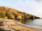 Image of Jersey