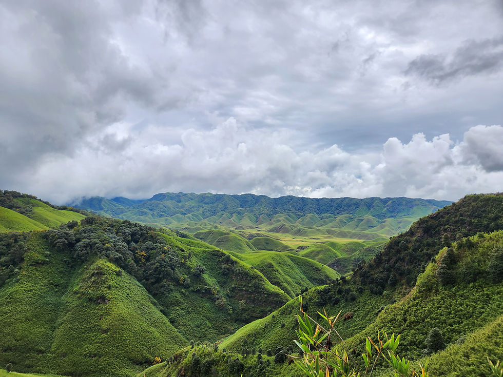 Image of Dzukou Valley, Nagaland & Manipur