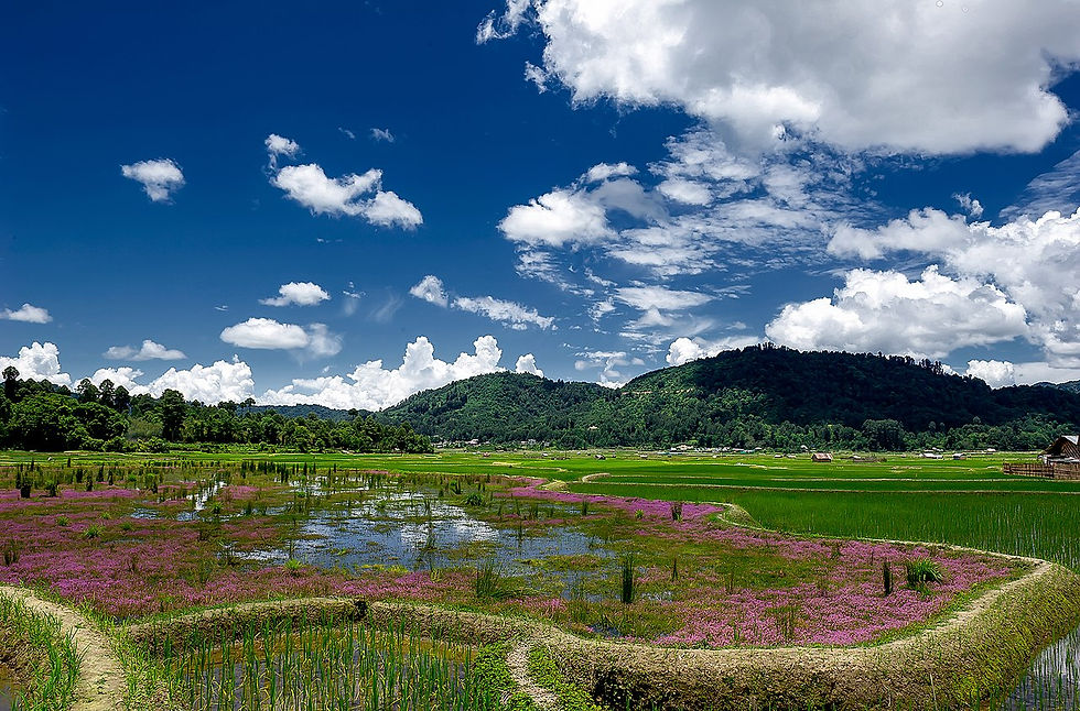 Image of Ziro Valley, Arunachal Pradesh