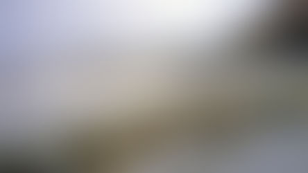 The ‘hidden’ UK beach with fossil-filled shores, a tiny village and free parking